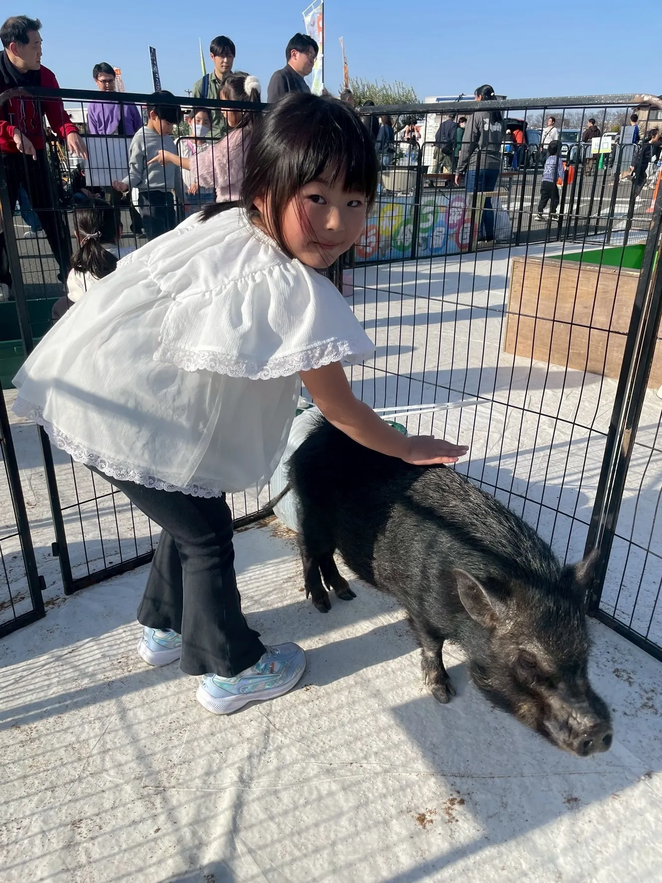 🐰✨ 昨日のふれあいの様子 ✨🐣