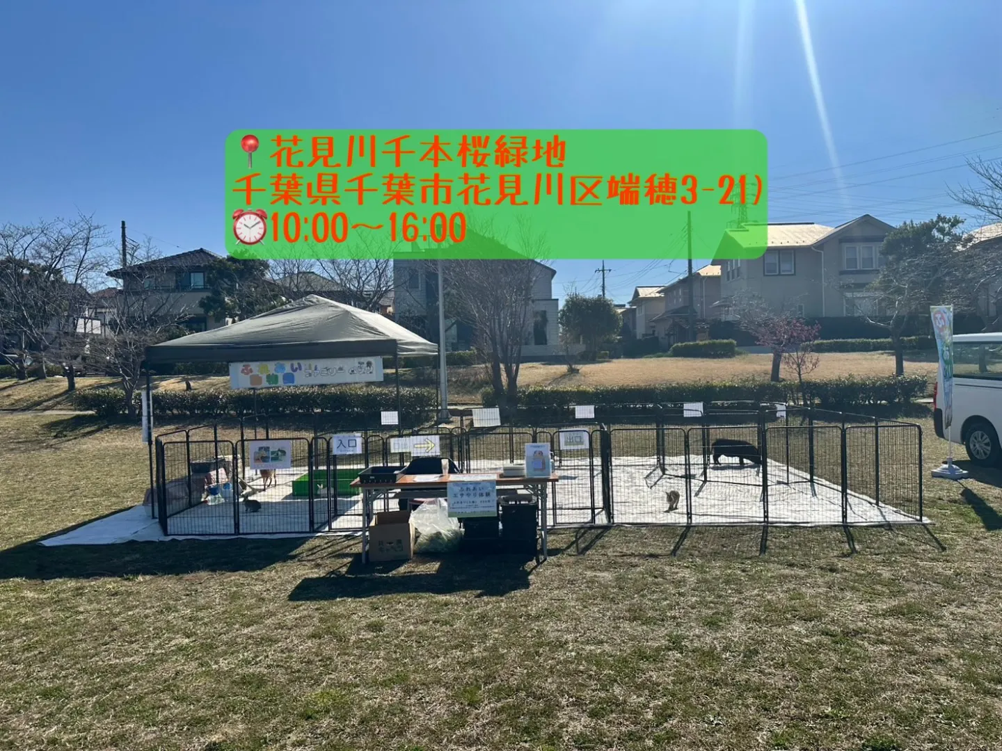 🌸ピクニックミニマルシェ出店🌸