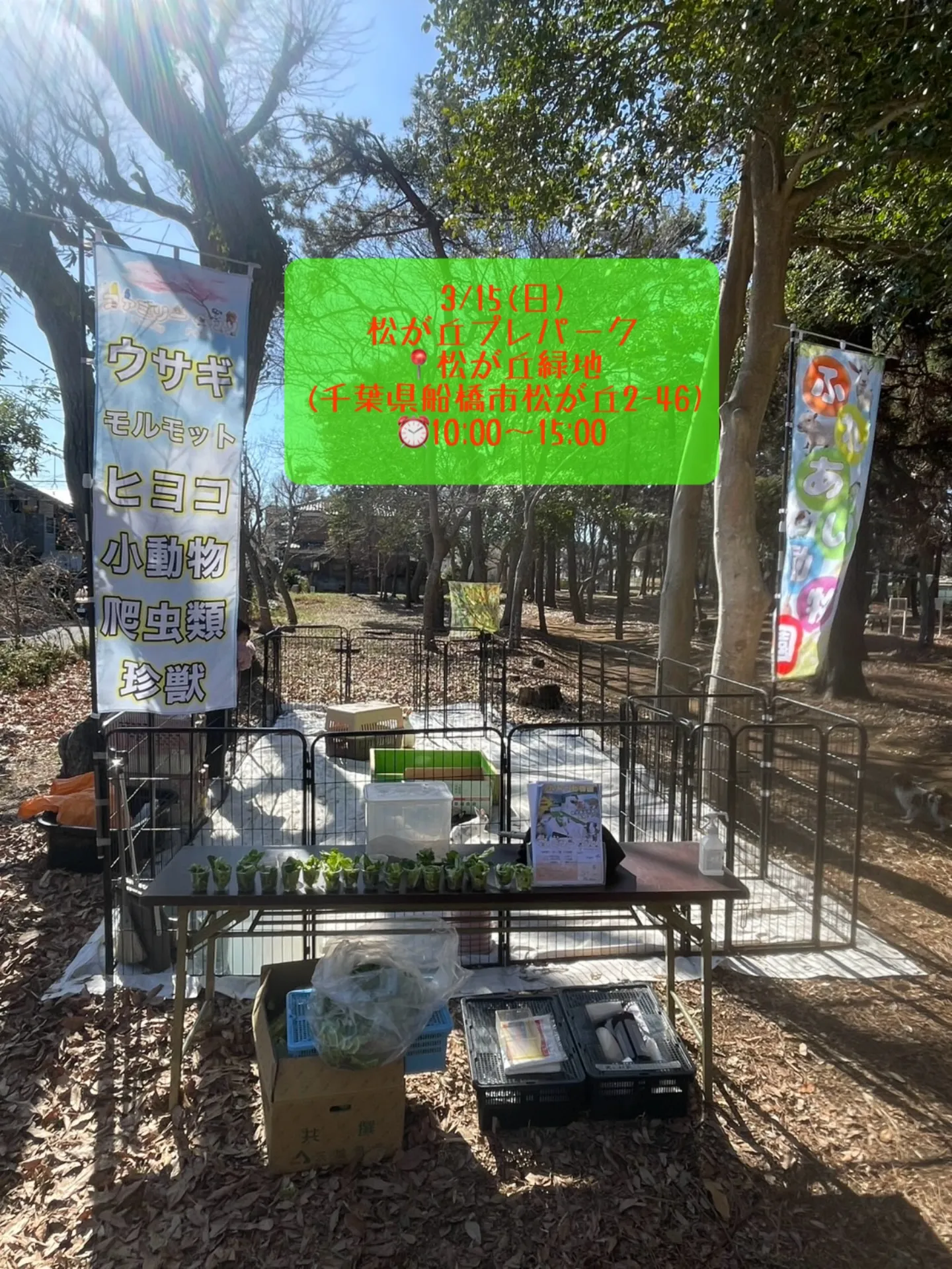 🌿本日は松が丘プレパークも✨️🌿