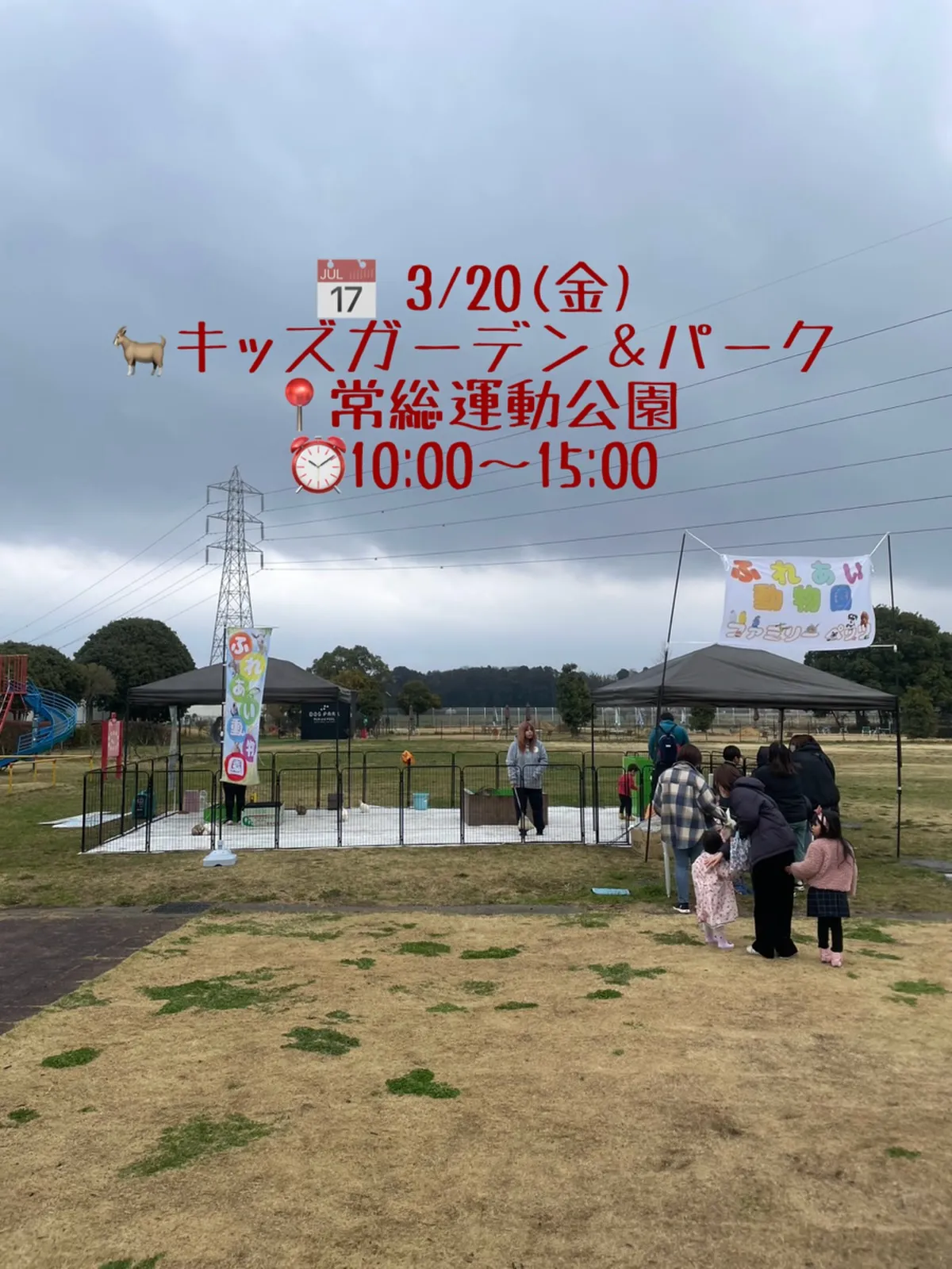 🌿本日常総にて出店しています🐐