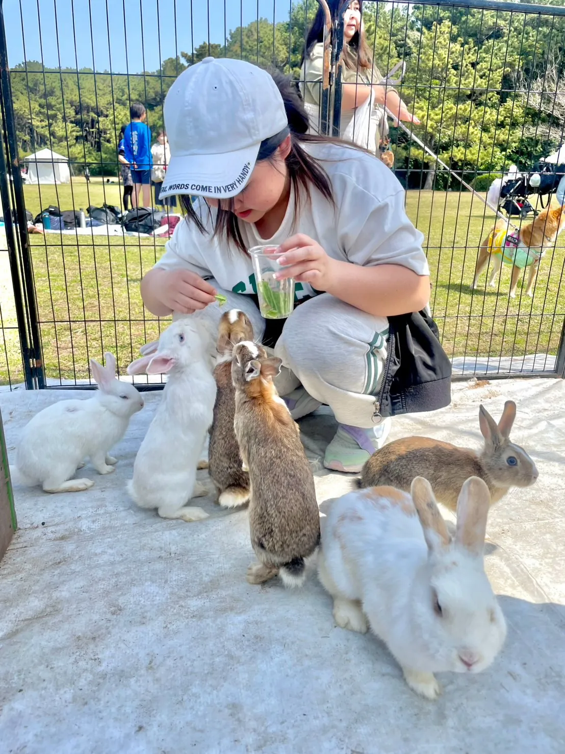 🌿先日のにぎやかなふれあい🐰🦔