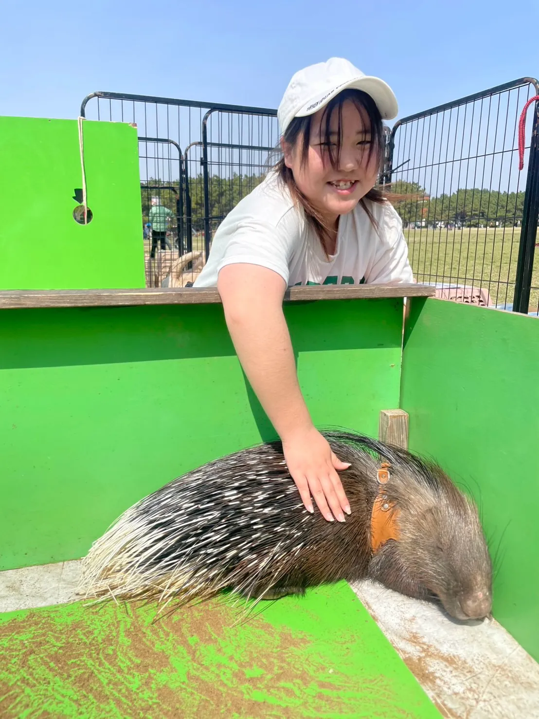 🌿先日のにぎやかなふれあい🐰🦔