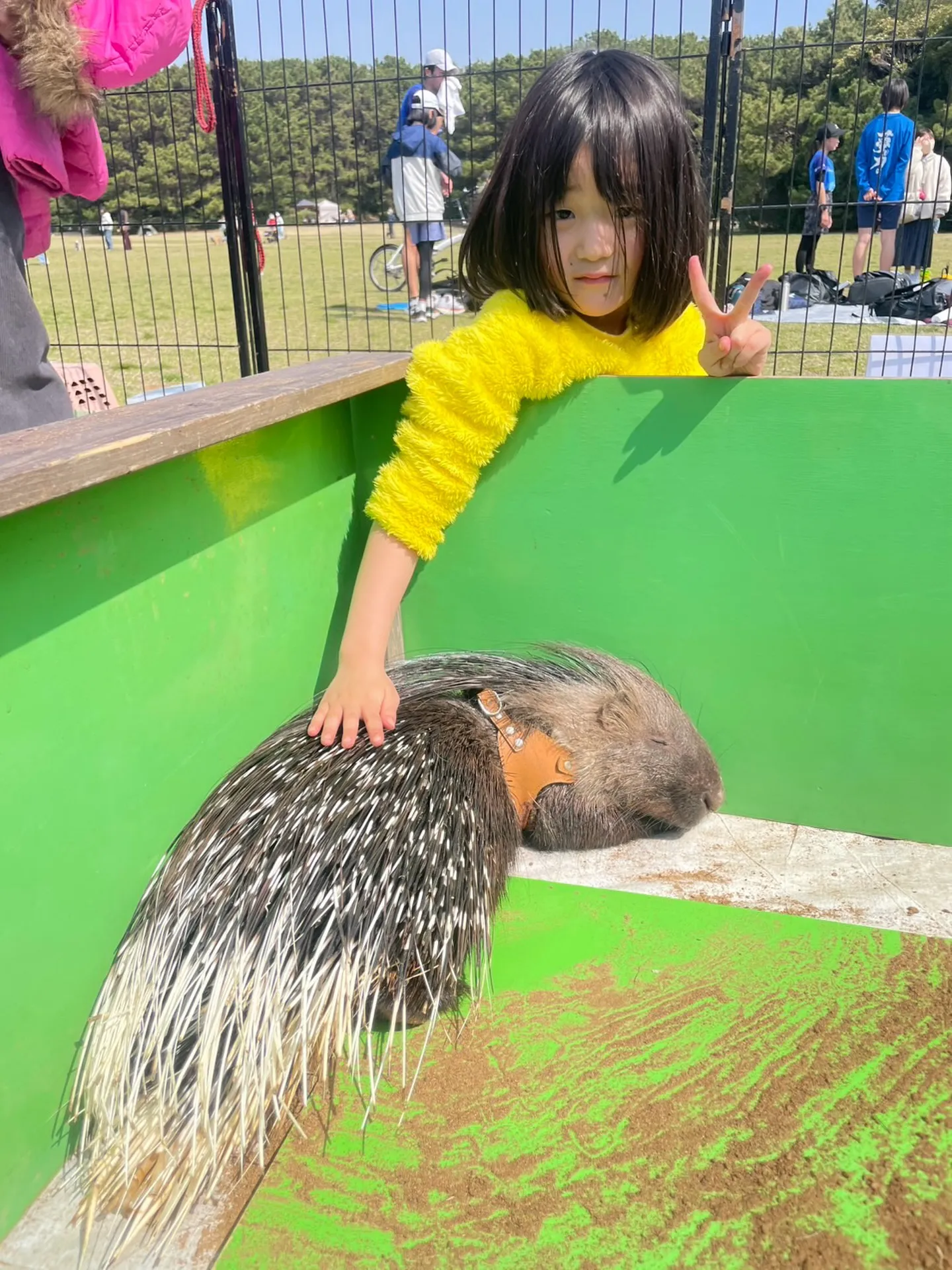 🦔そっと触れてみると🐾