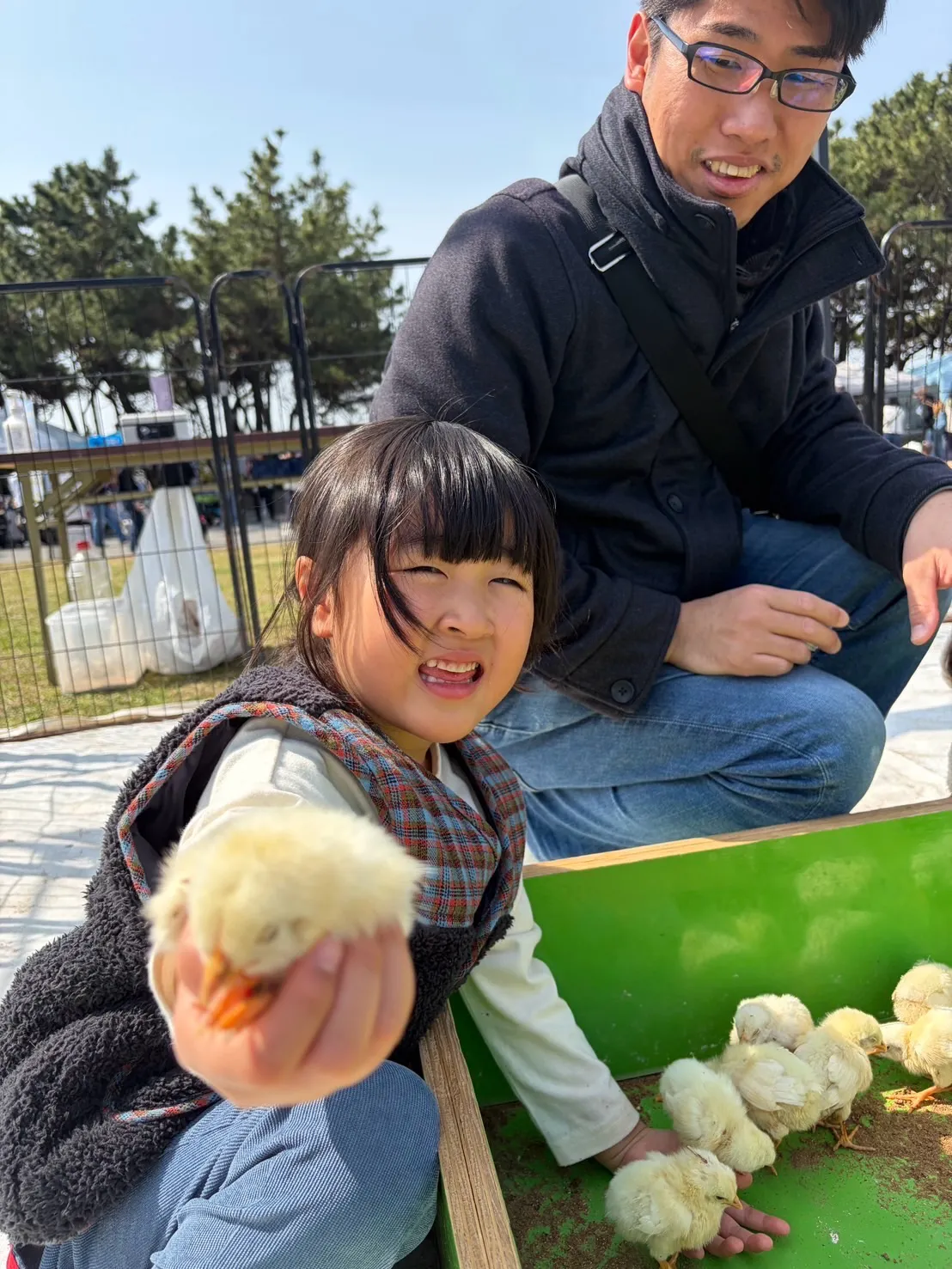 🌿家族でふれあい体験🐤🐰