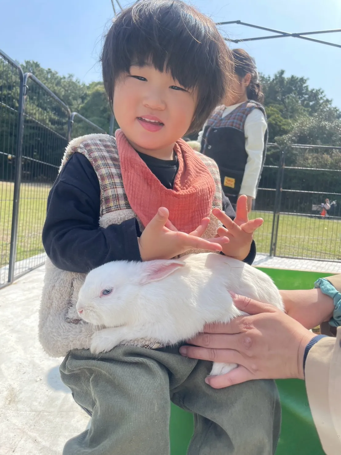 🌿家族でふれあい体験🐤🐰