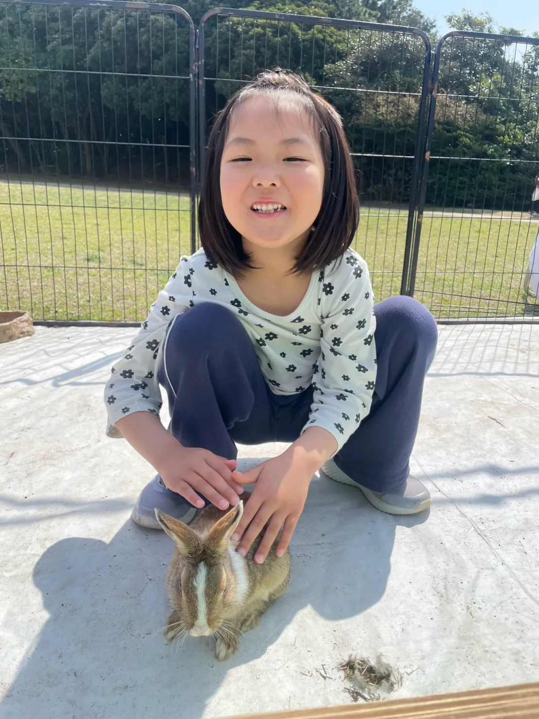 🌿姉弟でふれあい体験🐰🐤