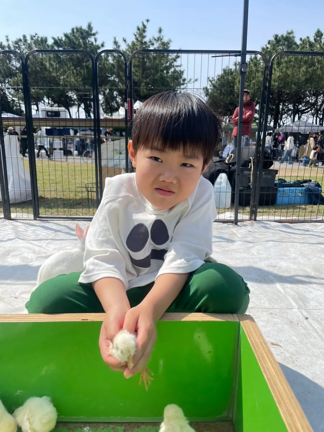 🌿姉弟でふれあい体験🐰🐤