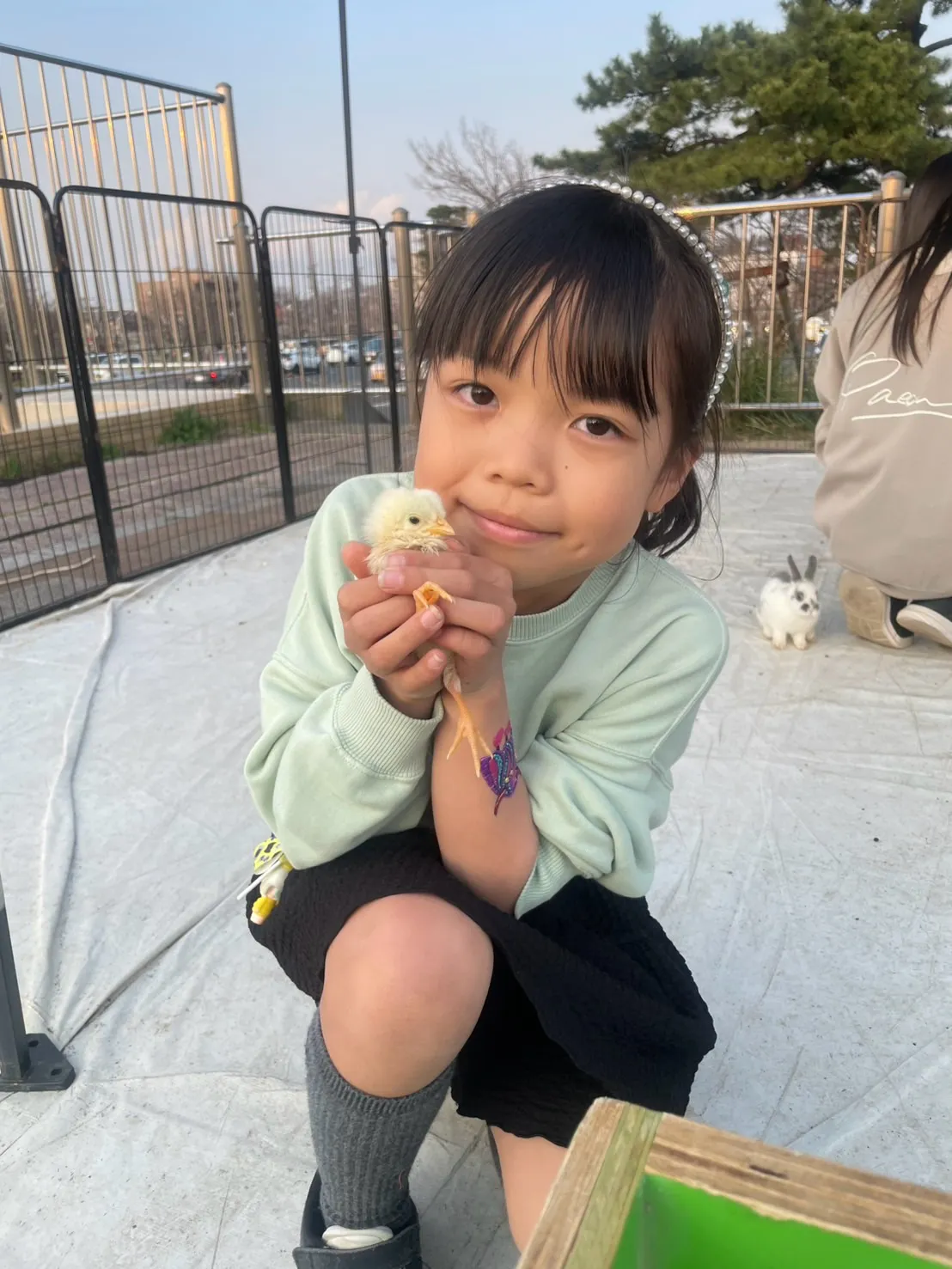 🌿土曜日のふれあい🐰🐤