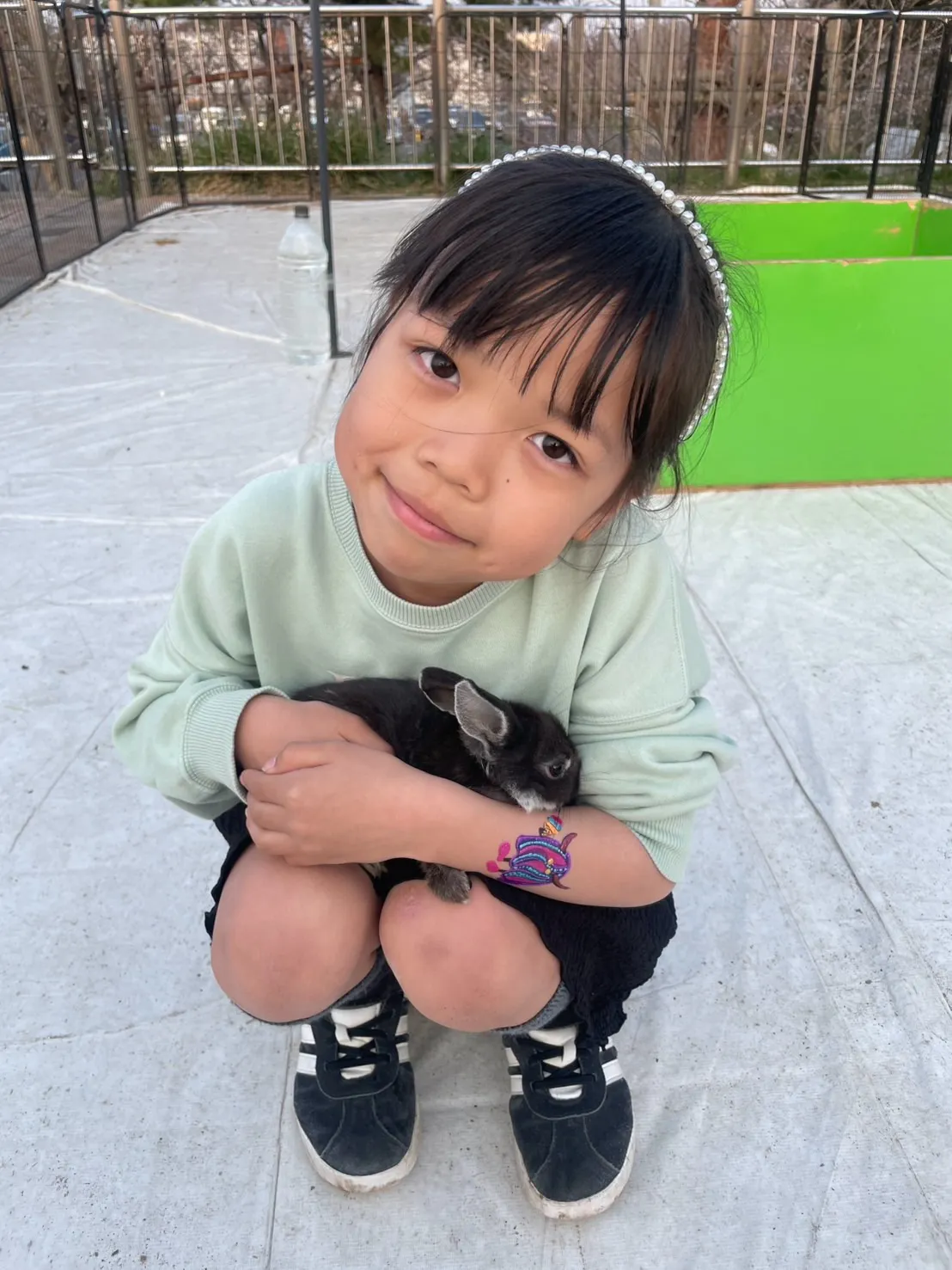 🌿土曜日のふれあい🐰🐤