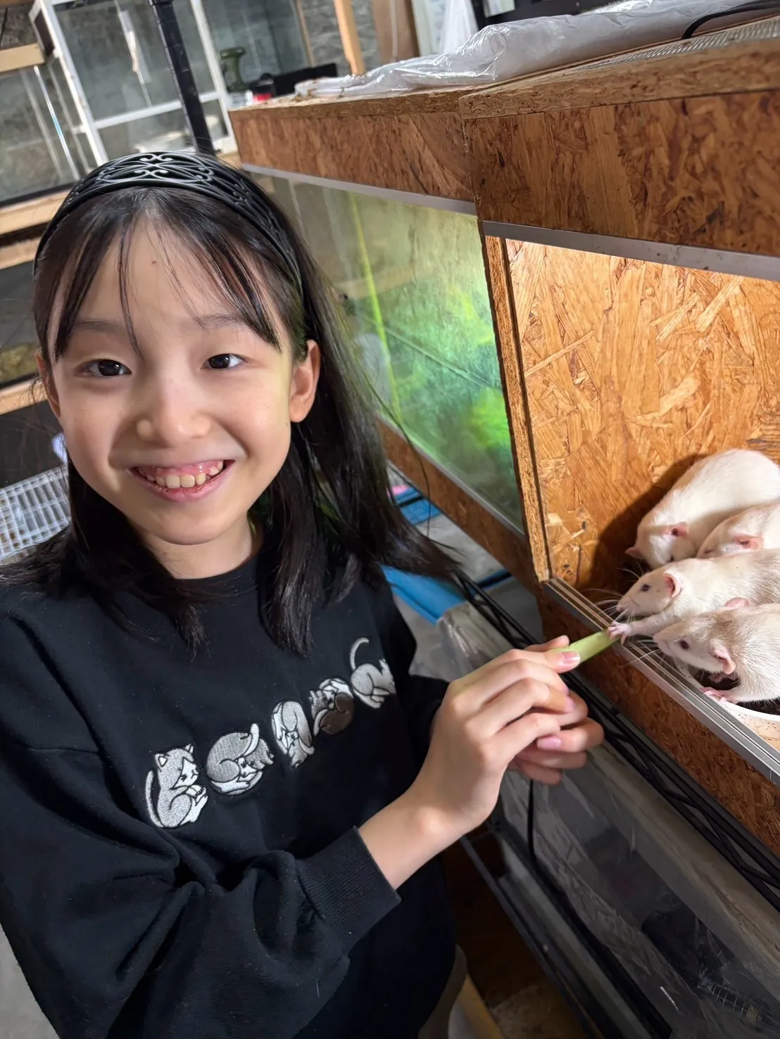 🌿先日のふれあい🐰🐭✨