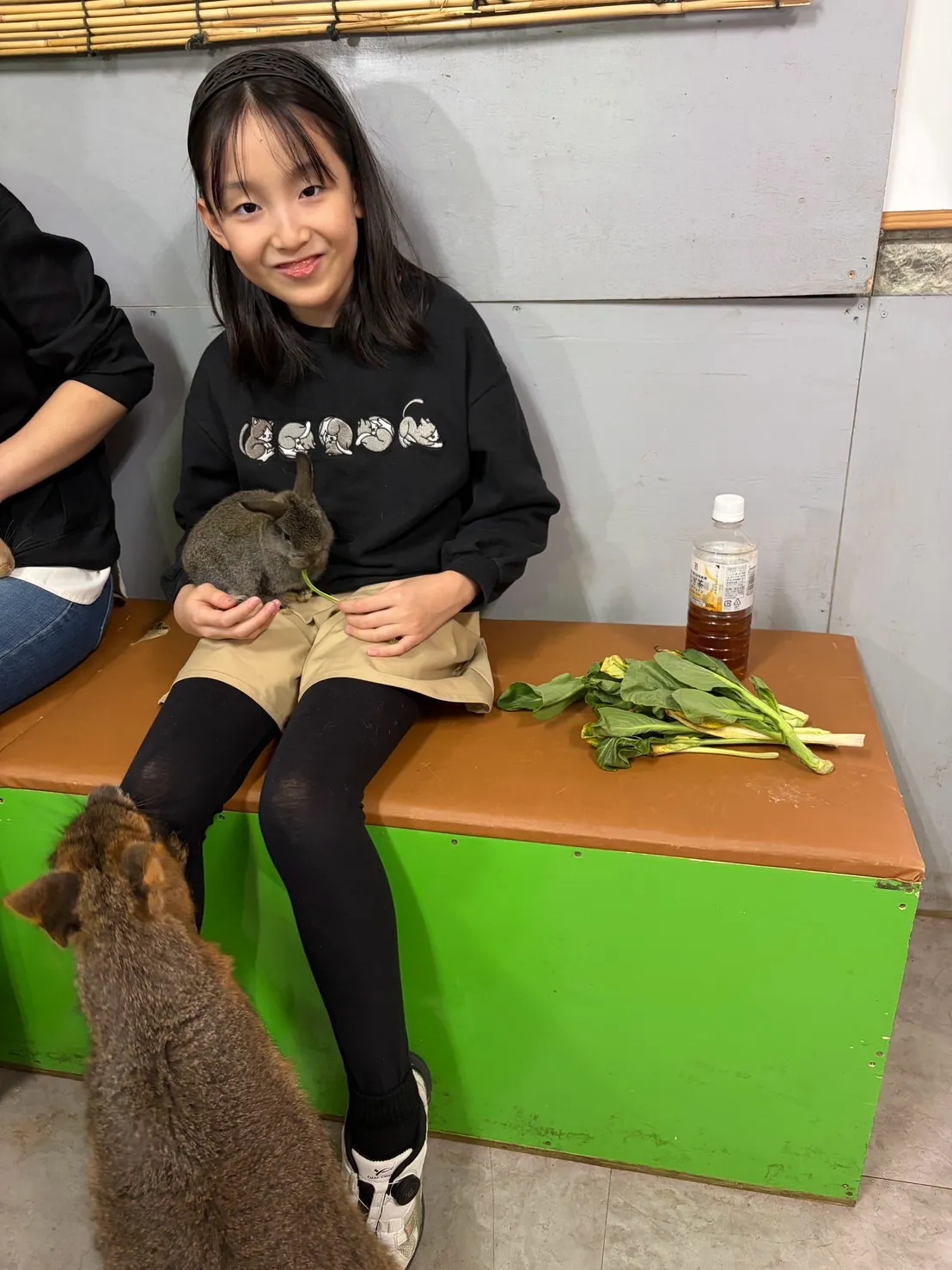 🌿先日のふれあい🐰🐭✨