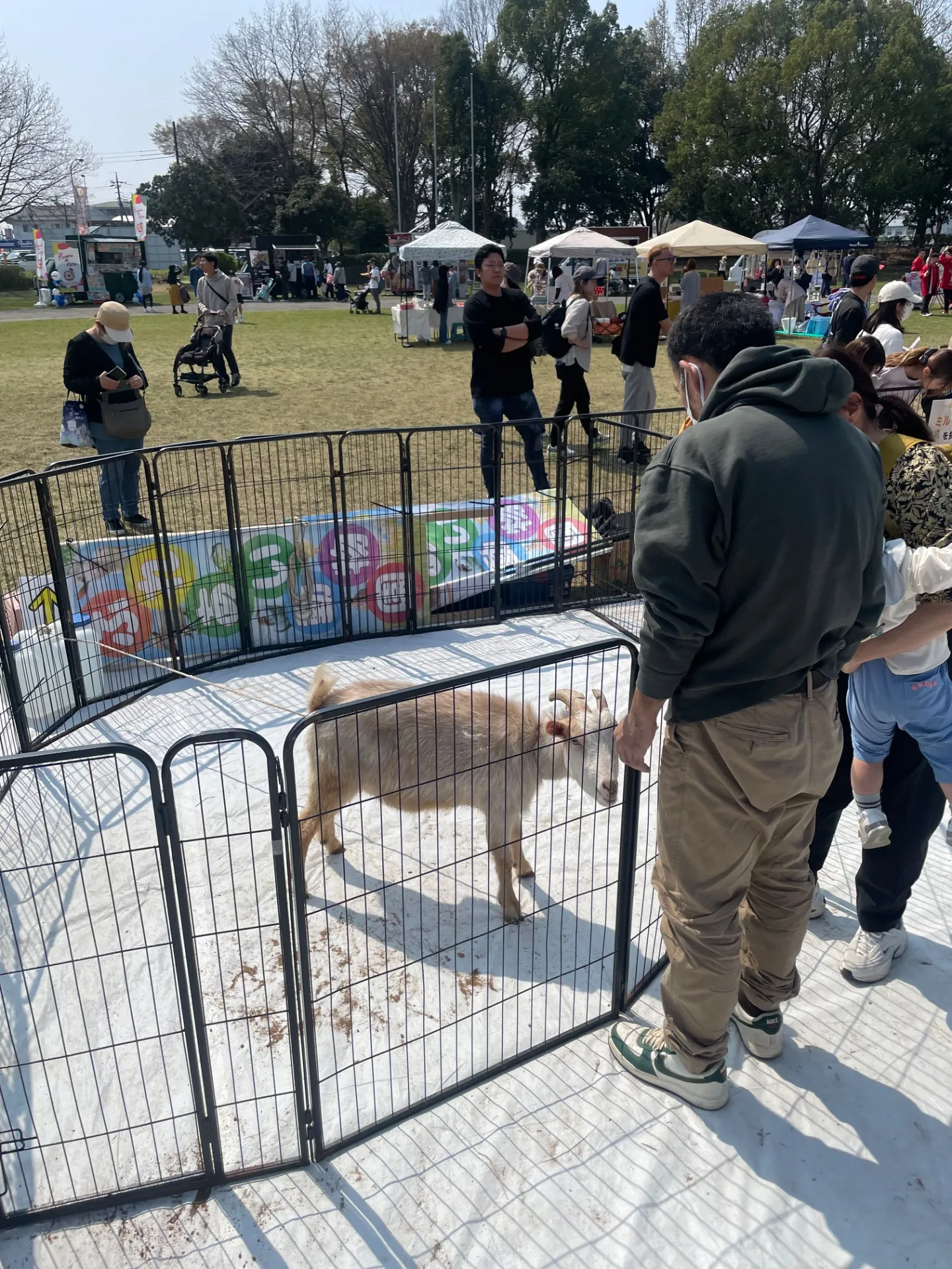 おでかけに千葉県柏市の移動動物園で家族と動物ふれあい体験を楽しむ方法