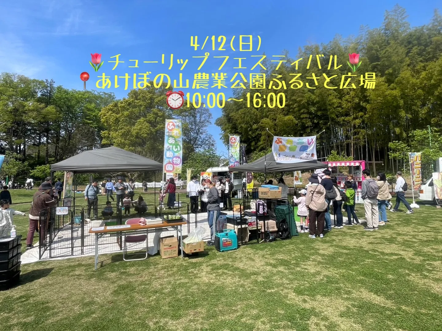 🌷チューリップフェスティバル 2日目出店中🐾