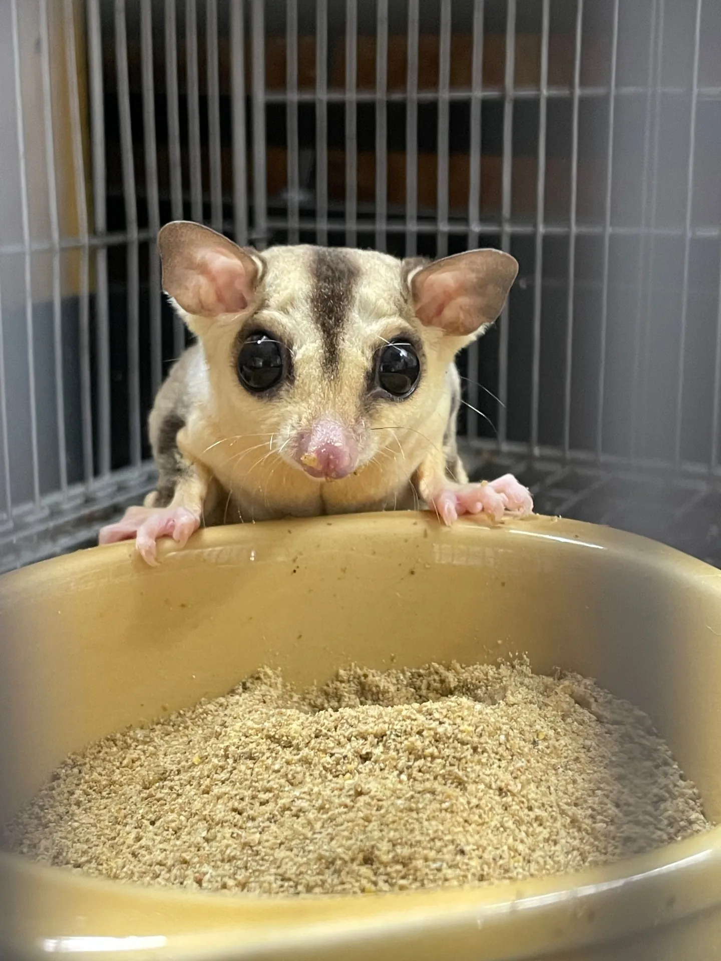 おでかけで楽しむ千葉県船橋市の室内スポット活用法と家族みんなの満足ポイント