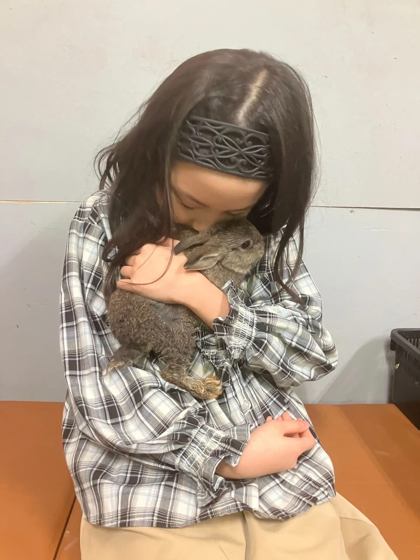 フレミッシュジャイアントとふれあい🐰