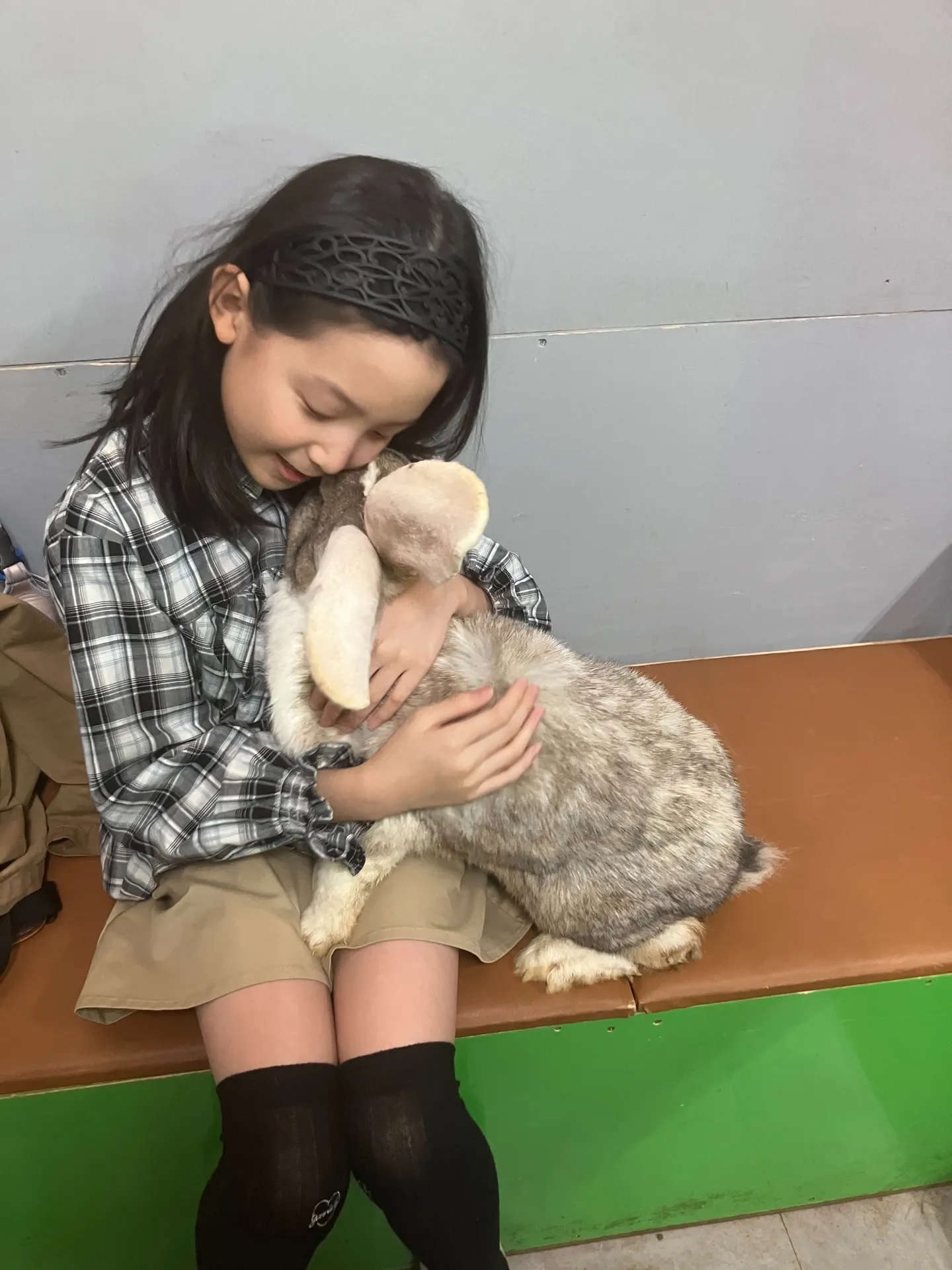 フレミッシュジャイアントとふれあい🐰