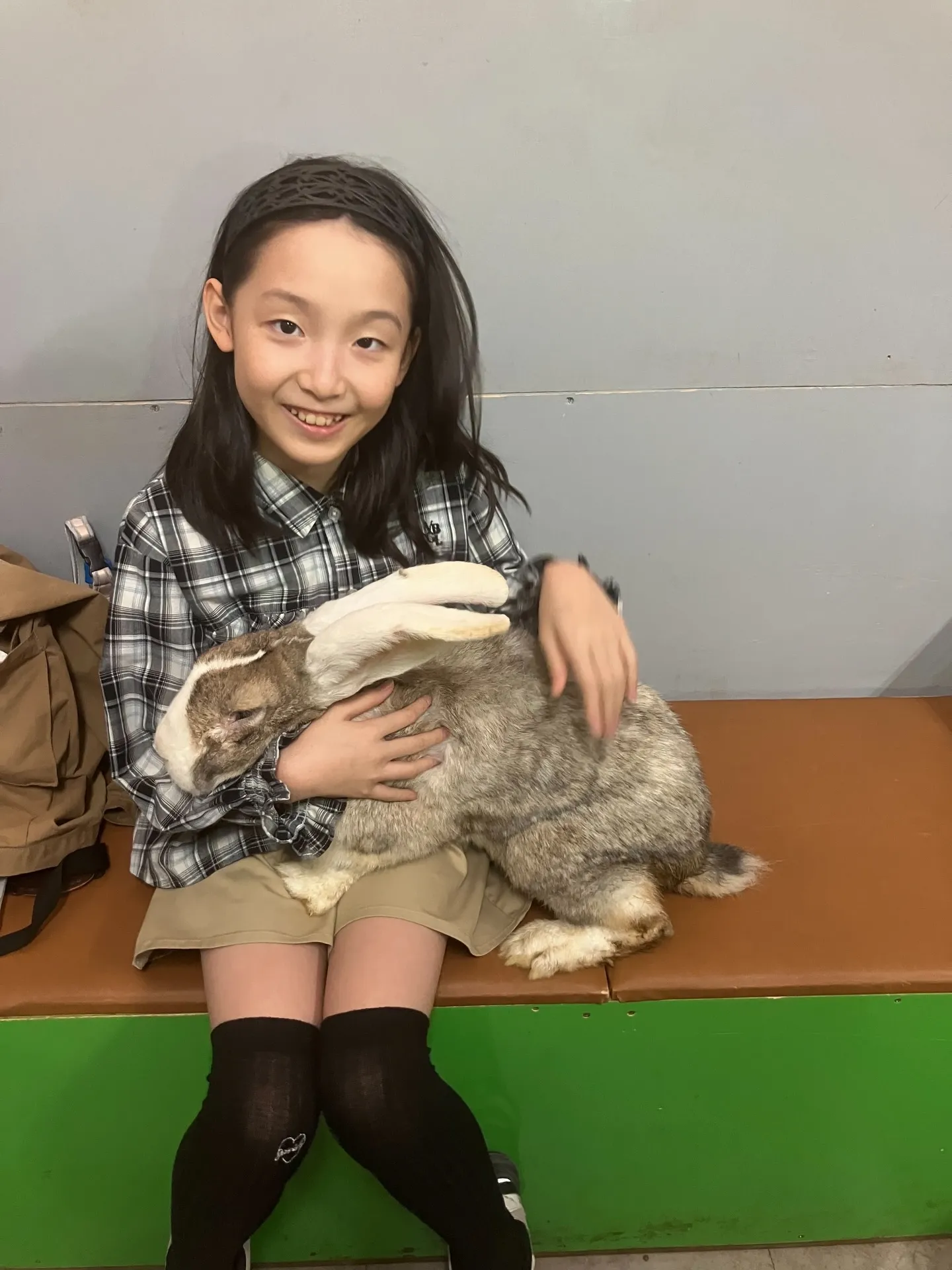 フレミッシュジャイアントとふれあい🐰