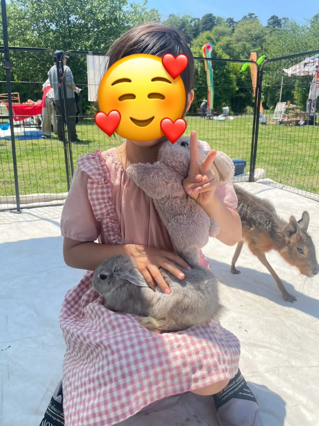 うさぎと一緒に🐰