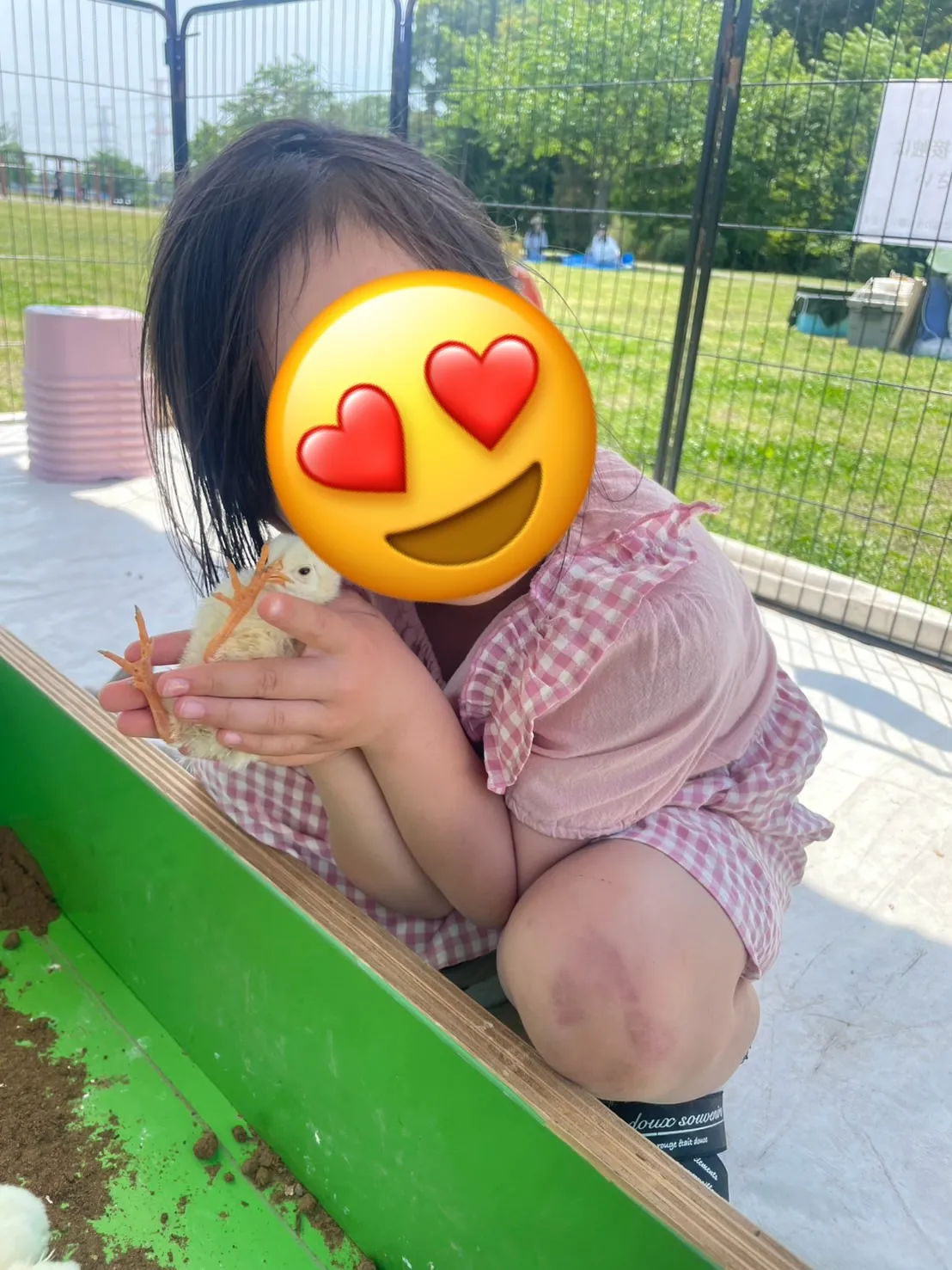 うさぎと一緒に🐰