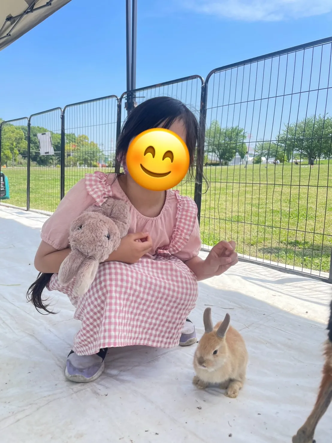 うさぎと一緒に🐰