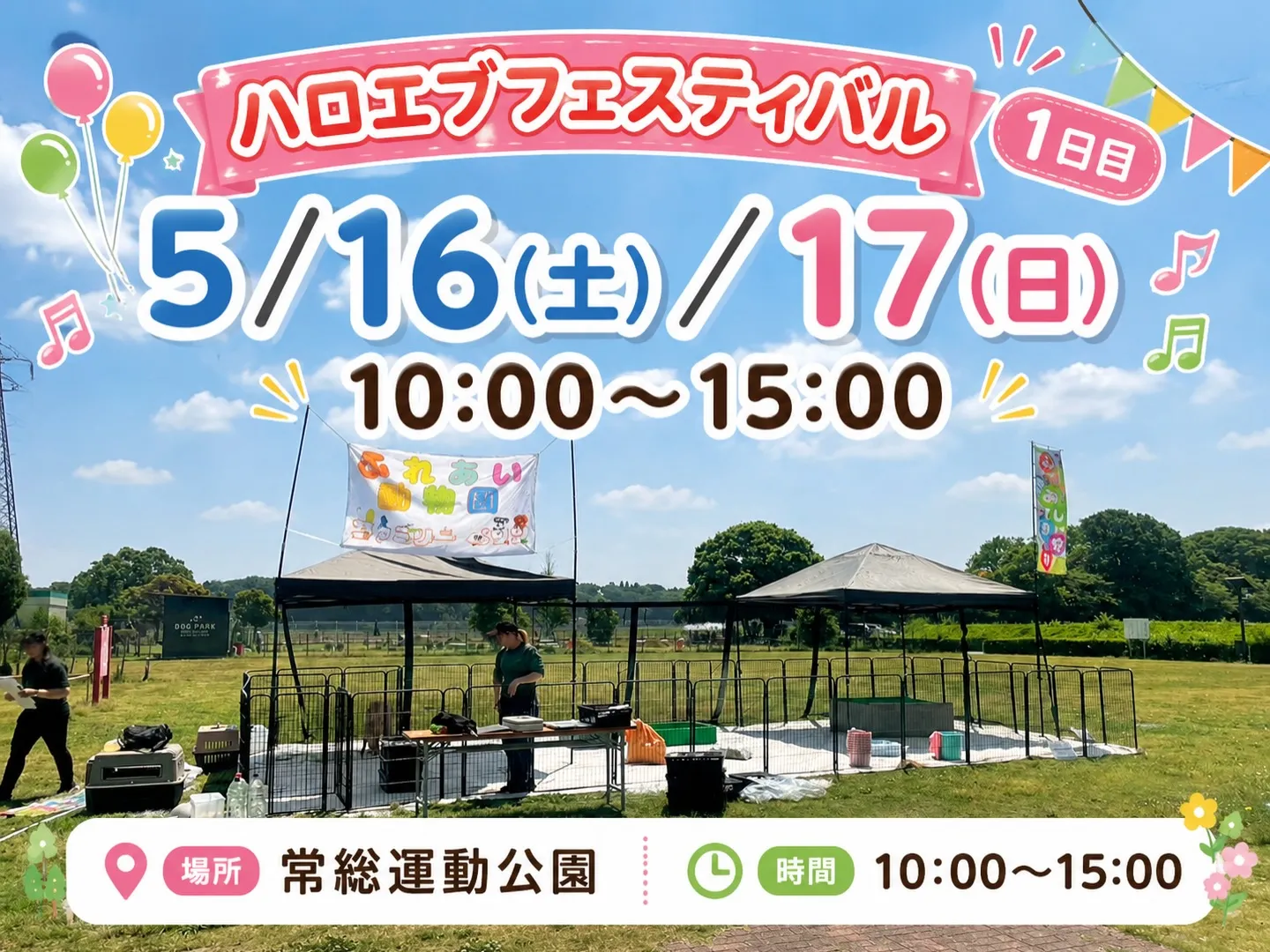 🌈ハロエブフェスティバル 出店中🐾
