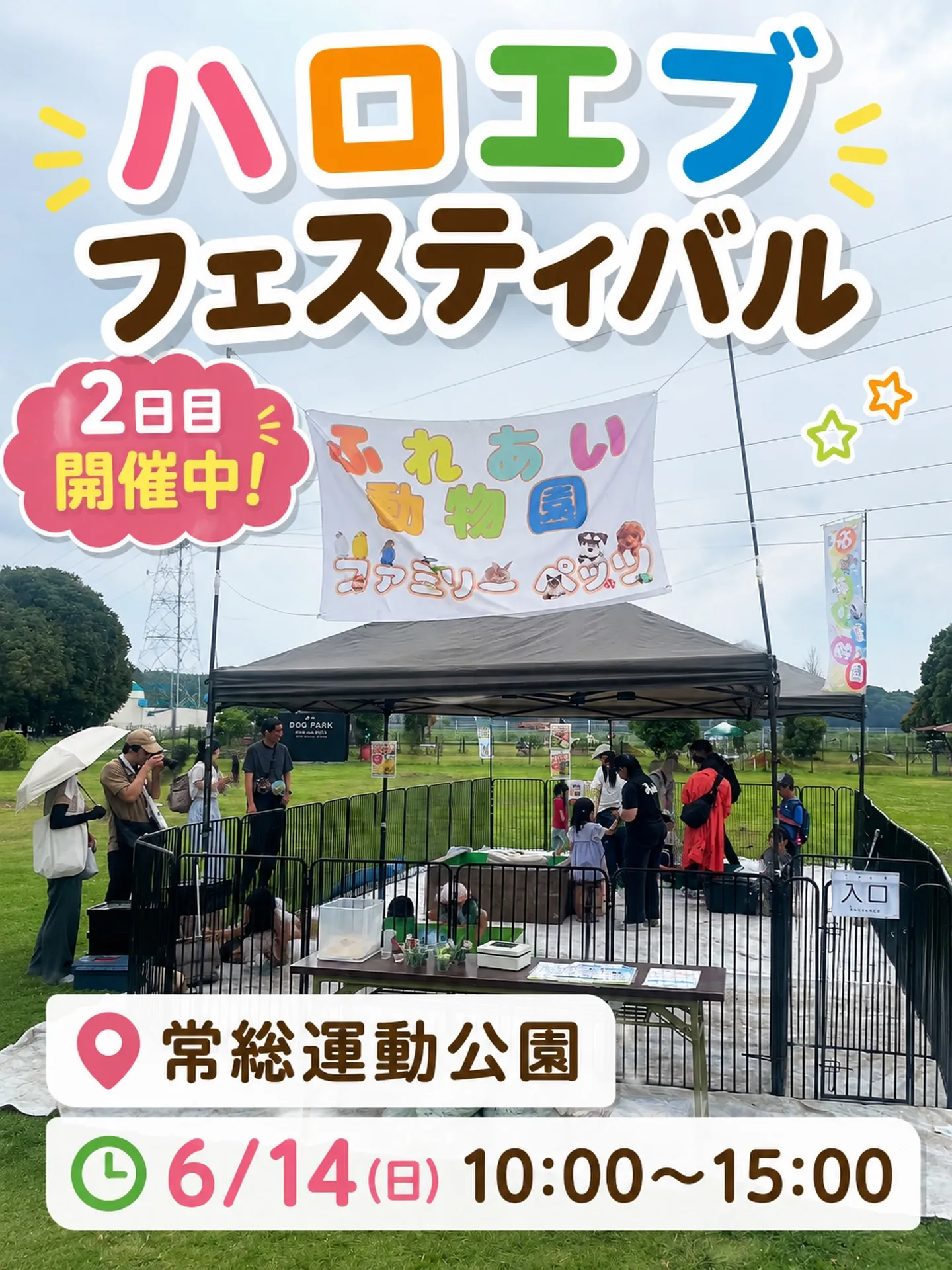 🌈ハロエブフェスティバル 2日目出店中🐾