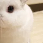 プライバシーポリシー