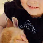 サービス