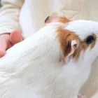 代表あいさつ