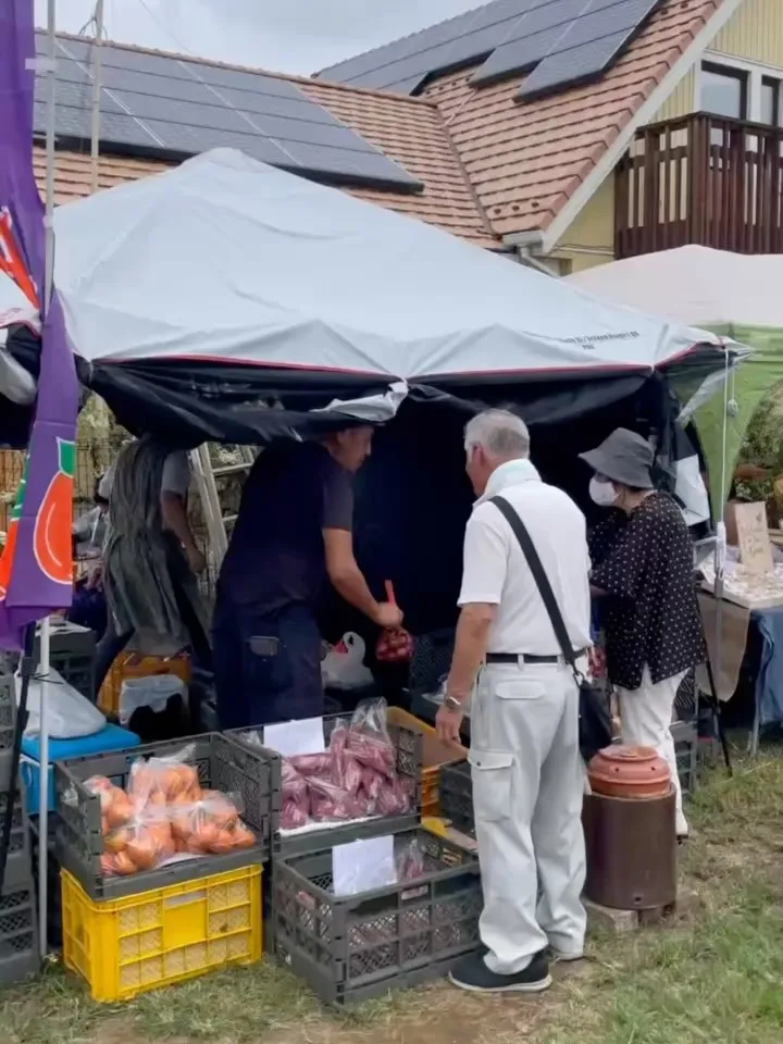 🐣木まぐれマルシェ開催中🐣