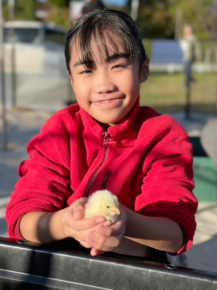 🐥FURUAマルシェ🐰