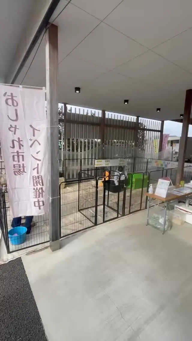 🌼おしゃれ市場 出店しています🌼