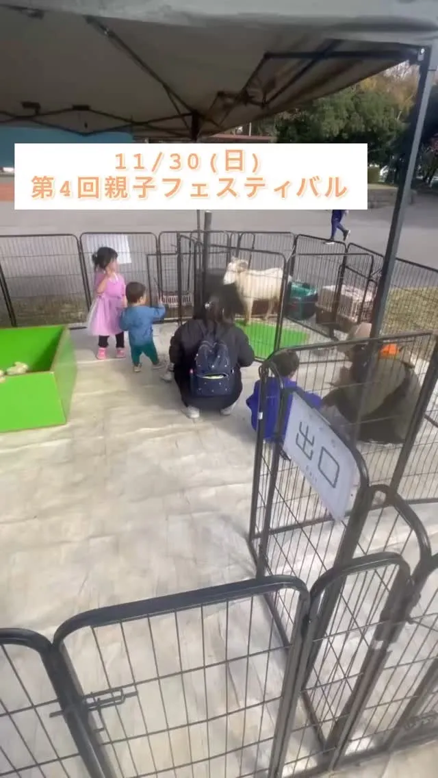🌼親子フェスティバル 2日目🌼