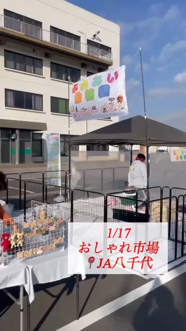 🐾 本日はこちらも開催中です 📢