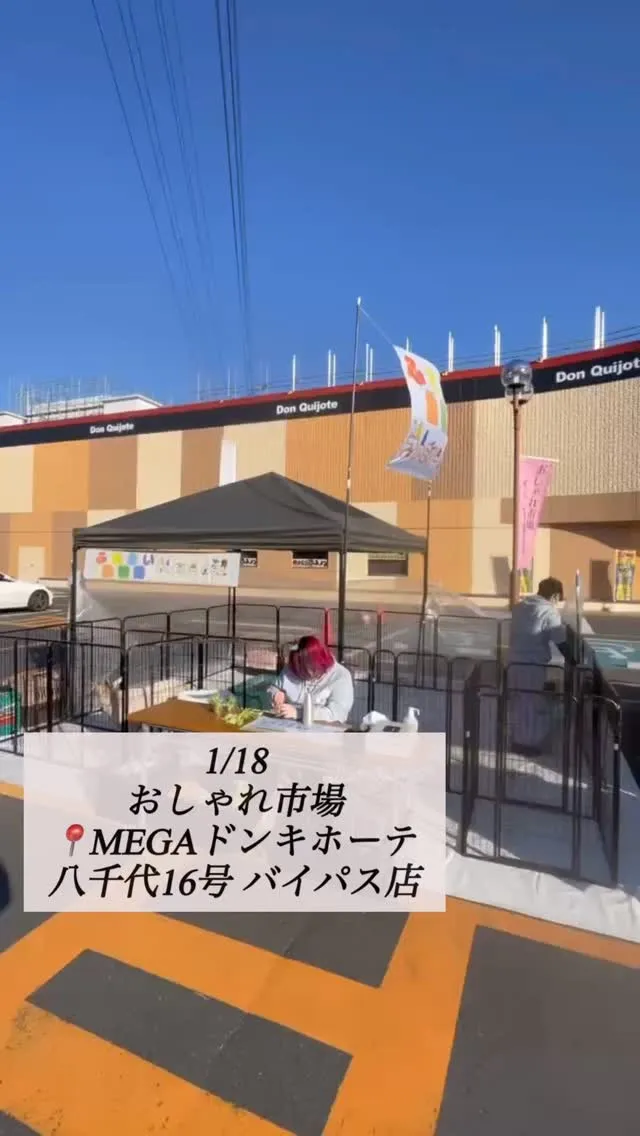 🐾 本日の出店情報📢