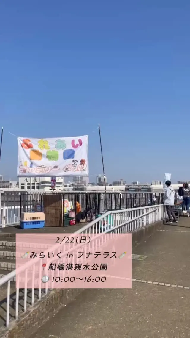 🍼✨ みらいく in フナテラス 出店中！ ✨🍼