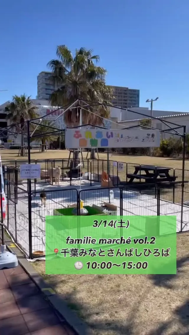 🌿本日千葉みなと出店しています🐾