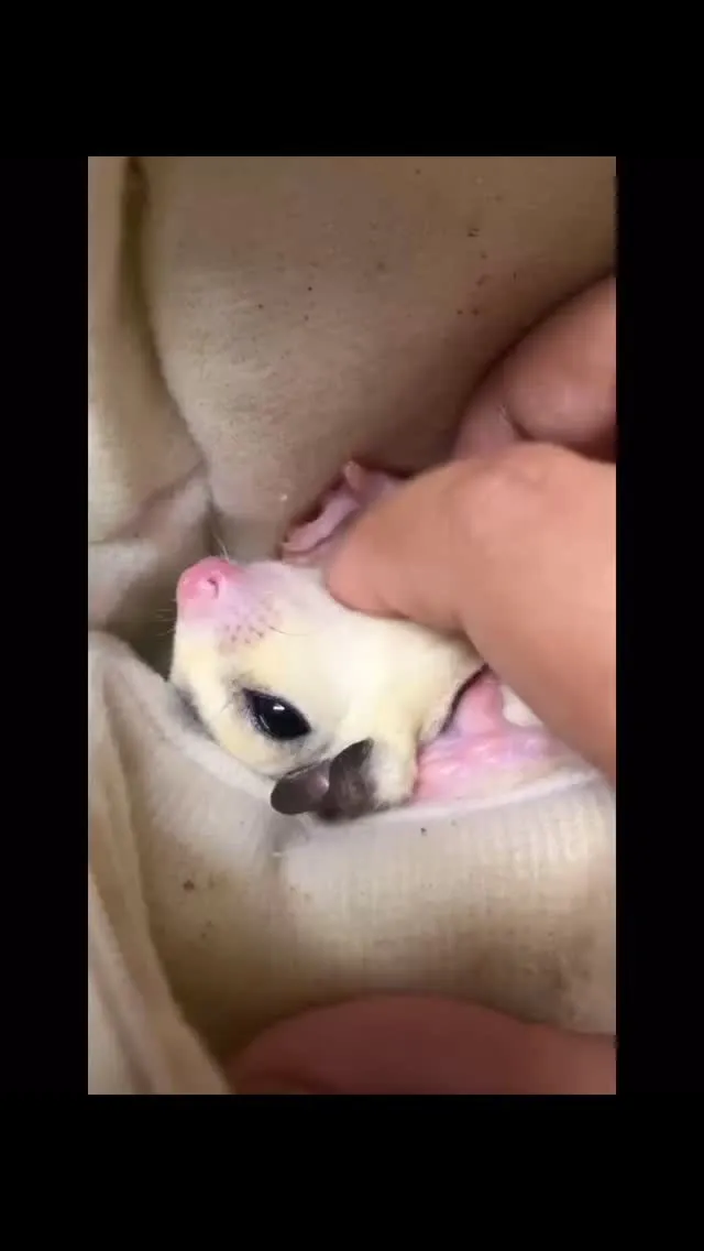 うっとり😌✨